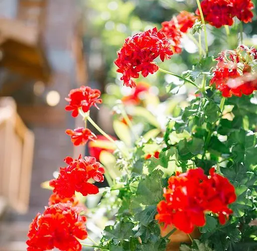 Отель Karia Bel - Adult Only +12